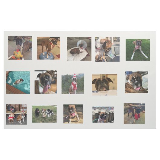 Tissu PICS de chien (Fat Quarter)