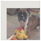 Tissu PICS de chien (Fermer)