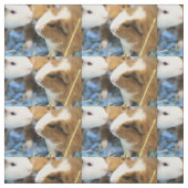 Tissu Piggy (Échantillon)