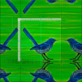 Tissu "Pinny" (Carreau)