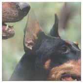 Tissu Pinscher de dobermann dans les bois (Fermer)