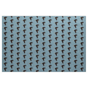 Tissu Piqué d'Aigle chauve