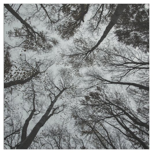 Tissu Plafond noir et blanc de forêt (Échantillon)