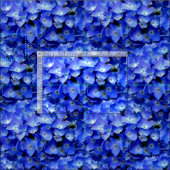 Tissu plante de l'motif de l'hydrangée bleue (Carreau)