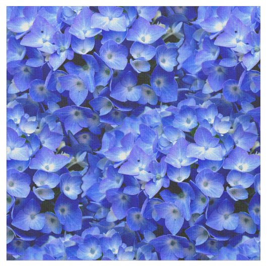 Tissu plante de l'motif de l'hydrangée bleue (Fermer)