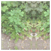 Tissu Plante vert (Fermer)