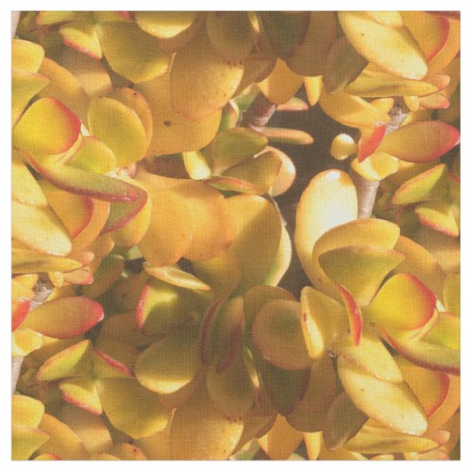 Tissu Plantes de glace jaune (Fermer)