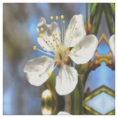 Tissu Plum Blossom Art Botanique (Fermer)