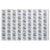 Tissu Poisson rayé multicolore Thunder_Cove (Fat Quarter)