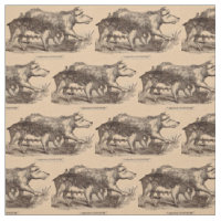 Porcs du 19ème siècle de poster de animal de ferme