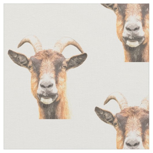 Tissu Portrait d'animal de ferme de chèvre (Fermer)