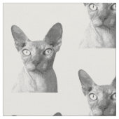 Tissu Portrait de chat noir et blanc Sphynx (Fermer)