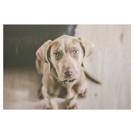 Tissu Portrait de chien (Yard)