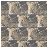 Tissu Portrait de Léopard (Échantillon)