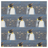 Tissu Portrait de pingouin (Échantillon)