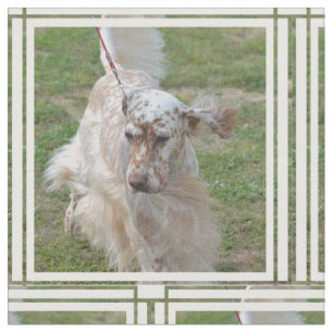 Tissu Poseur anglais de brun et blanc