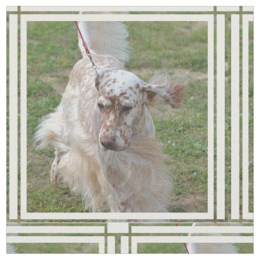 Tissu Poseur anglais de brun et blanc (Fermer)