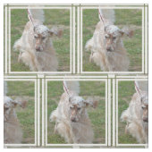 Tissu Poseur anglais de brun et blanc (Échantillon)