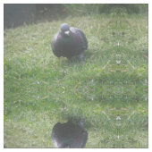 Tissu Posing Pigeon Patterned Animal Craft Fabric (Fermer)