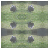 Tissu Posing Pigeon Patterned Animal Craft Fabric (Échantillon)