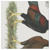 Tissu Poules Aseel Black Red (Fermer)