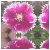 Tissu Promesse (Fermer)