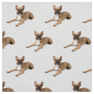 Tissu Puppie