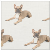 Tissu Puppie (Détail)