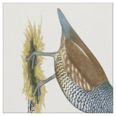 Tissu Quail à échelle (Fermer)