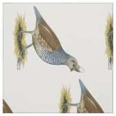 Tissu Quail à échelle (Échantillon)