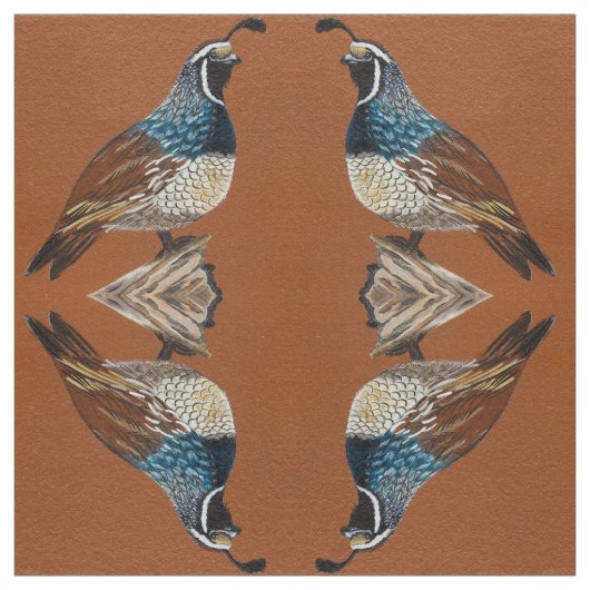 Tissu Quail King (Échantillon)