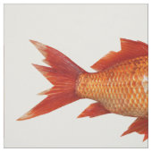 Tissu Quart coloré de graisse de poissons (Échantillon)