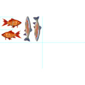 Tissu Quart coloré de graisse de poissons (Carreau)