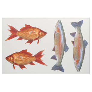 Tissu Quart coloré de graisse de poissons