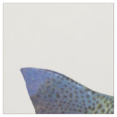 Tissu Quart de graisse de truite arc-en-ciel (Fermer)