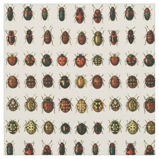 Tissu Rangée de coccinelles (Fermer)
