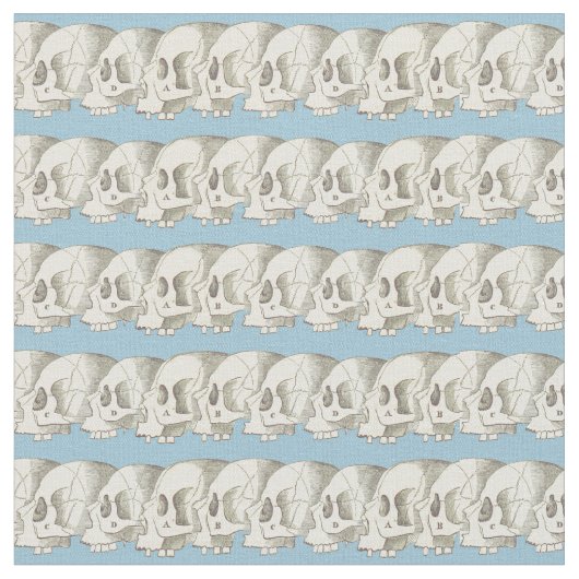Tissu Rangée des crânes (Fermer)