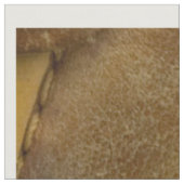 Tissu rapide jaune du coton du base-ball (56" (Fermer)