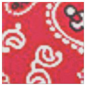 Tissu Red Paisley (Fermer)