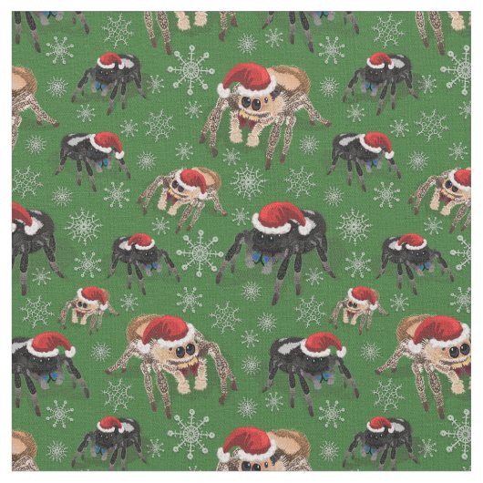 Tissu Regal Jumping Spider Phiddipus Regius Holiday Moss (Fermer)