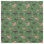 Tissu Regal Jumping Spider Phiddipus Regius Holiday Moss (Échantillon)