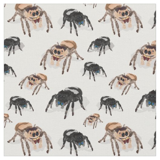 Tissu Regal Jumping Spider Phiddipus Regius White (Fermer)