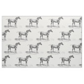 Tissu Rétro textile d'image d'anatomie de muscle de (Fat Quarter)