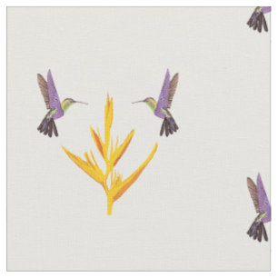 Tissu Rêve de colibris