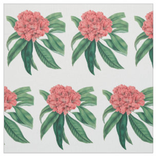 Tissu Rhododendron rose