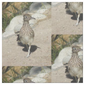 Tissu Roadrunner (Fermer)