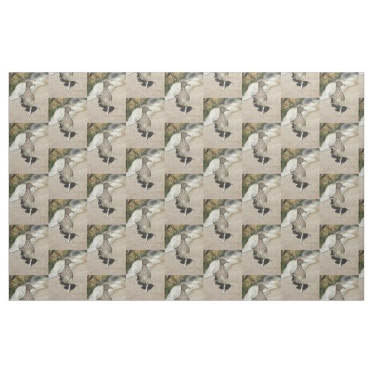 Tissu Roadrunner (Fat Quarter)