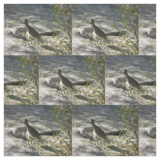 Tissu Roadrunner (Échantillon)