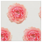 Tissu rose (Fermer)