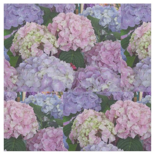 Tissu Rose bleu pourpre de Hydrangia (Fermer)